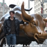 new-york-stock-exchange-bull