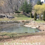 see-central-park