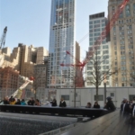 dsc_0008_1